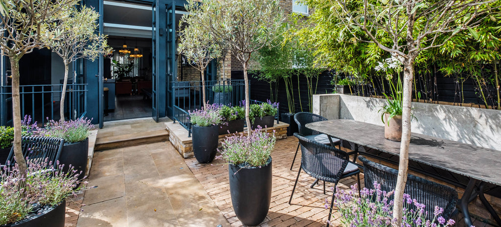 Inspirational terrace space in London