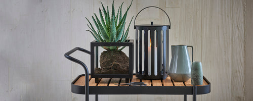 Stylish arrangement featuring a potted plant, a lantern, and decorative pitchers on a wooden surface.