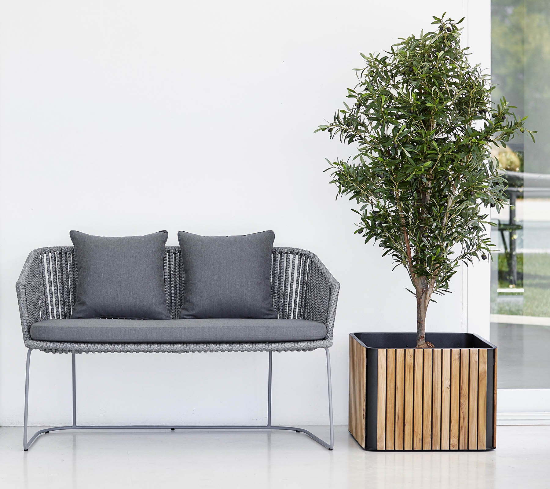 Modern sofa with two cushions next to a potted tree in a decorative planter, against a clean, neutral background.