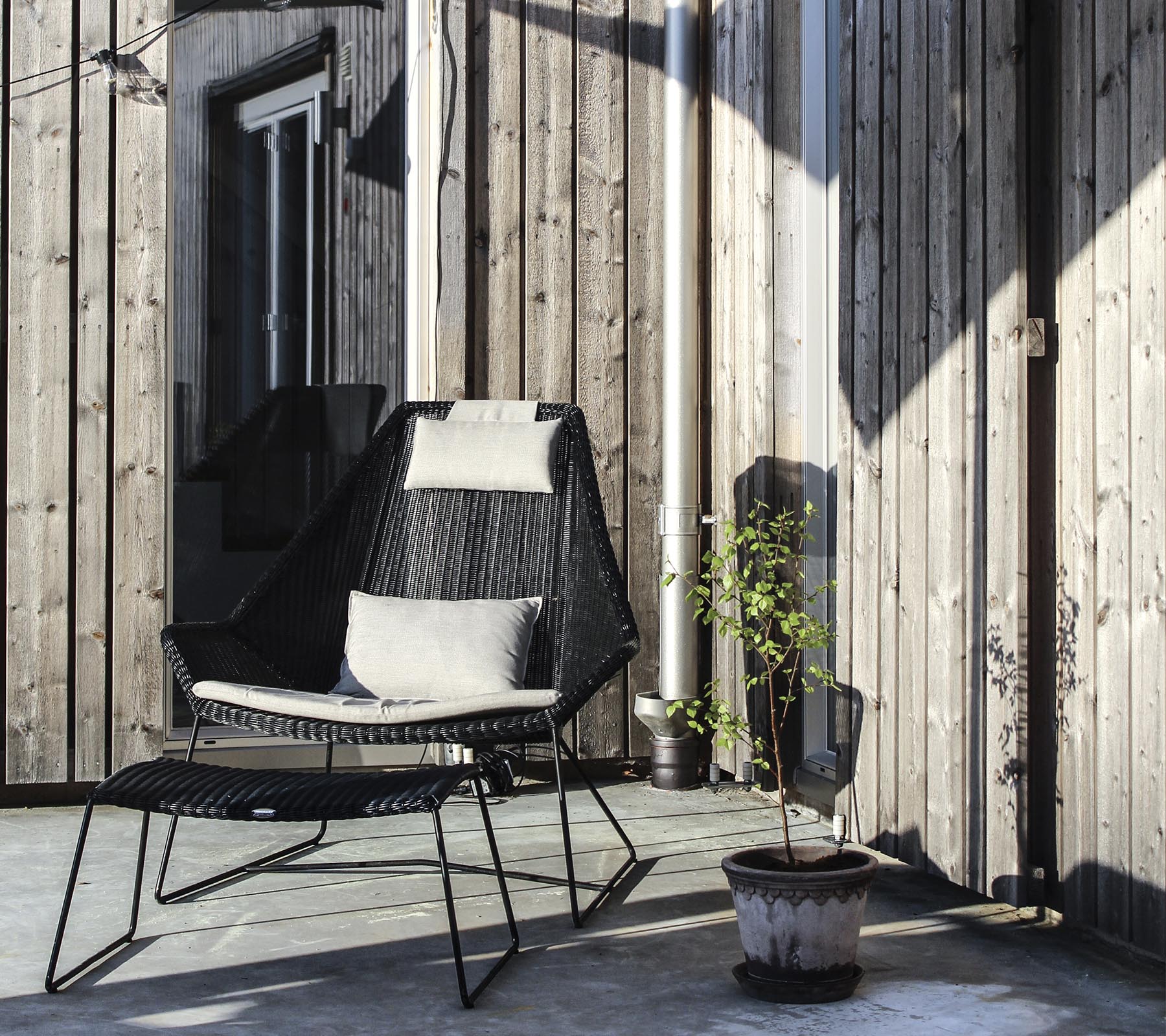 A stylish black chair with a cushion, positioned next to a small potted plant against a wooden backdrop.
