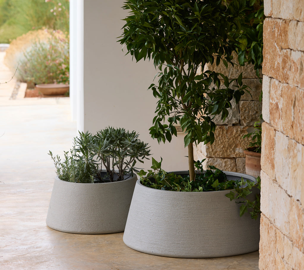 Two modern grey planters with greenery in an outdoor setting.
